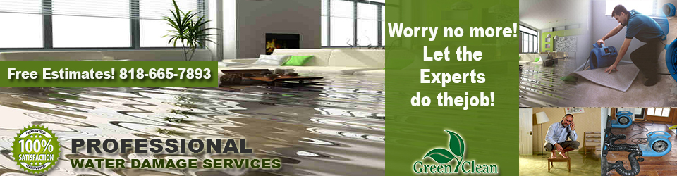 page-water-damage