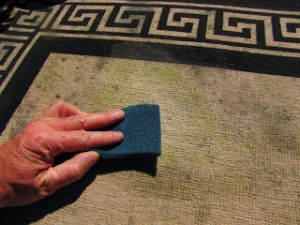 carpet cleaning Calabasas